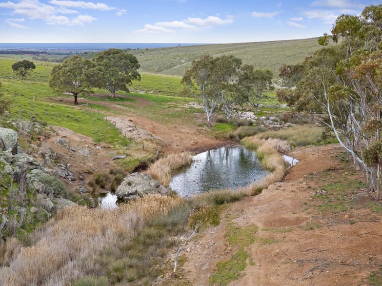 Click to view all images 'Waterfalls' 264 Waterfalls Road Dutton East SA 5356 - Image 2