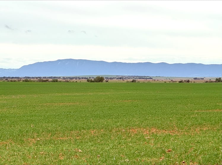Click to view all images Hammond Road Amyton SA 5431 - Image 3