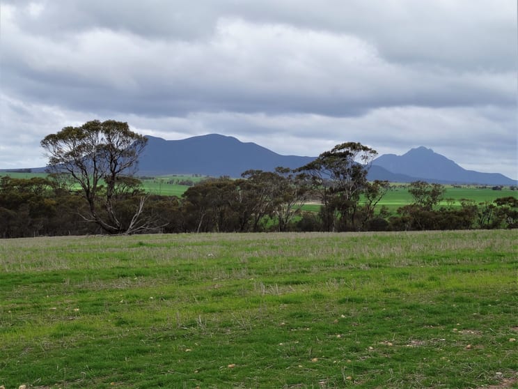 Click to view all images 189 Dejagers Road Amelup WA 6338 - Image 3