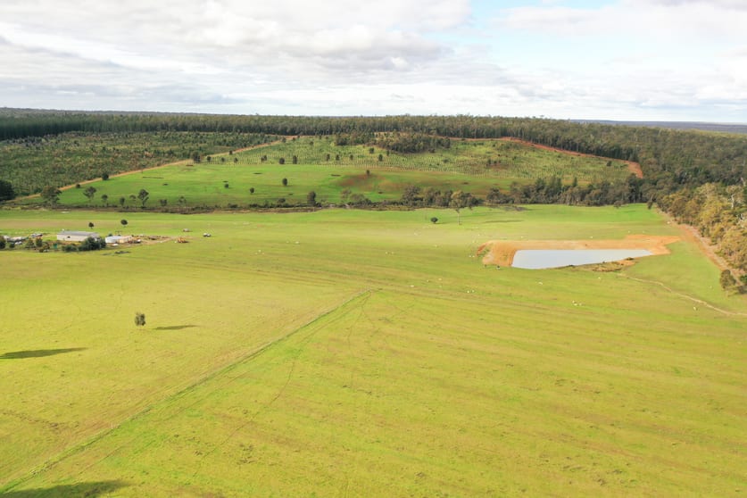 Click to view all images Lot 800 Seaton Ross Road Bridgetown WA 6255 - Image 3