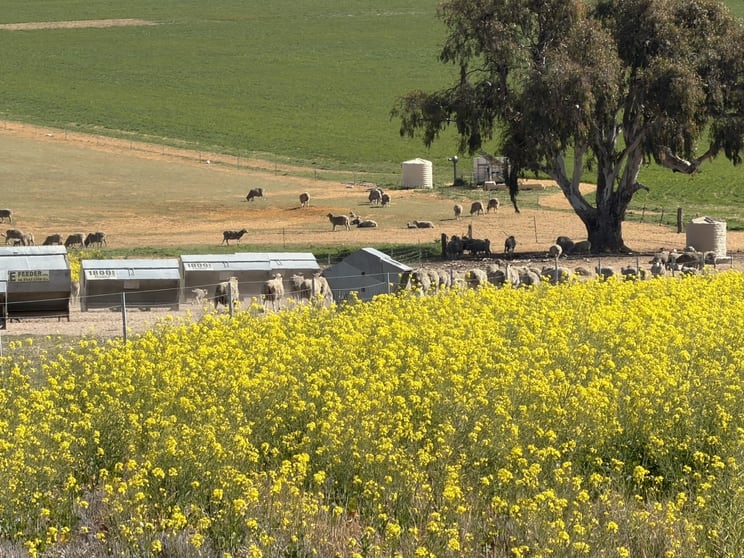 Click to view all images Quairading South Road Dangin WA 6383 - Image 3