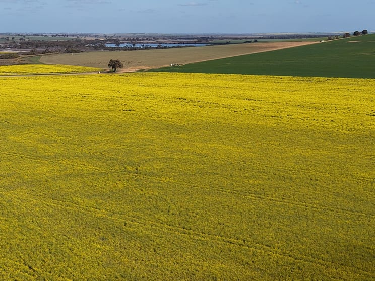 Click to view all images Quairading South Road Dangin WA 6383 - Image 1