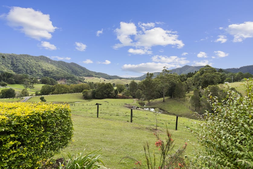 Click to view all images 1 Carilla Place Eungella NSW 2484 - Image 3
