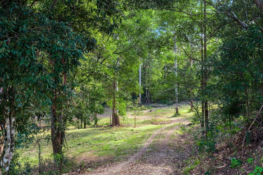 Click to view all images 434 Mount Burrell Road Mount Burrell NSW 2484 - Image 3