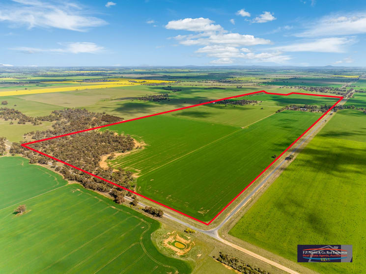Click to view all images 699 Tandarra-Serpentine Road Tandarra VIC 3571 - Image 2