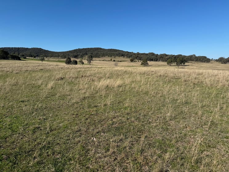 Click to view all images 332 Kurtz Lane Mudgee NSW 2850 - Image 1