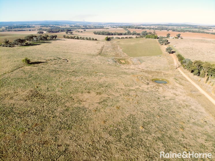 Click to view all images 963 - 1044 Quondong Road Grenfell NSW 2810 - Image 3
