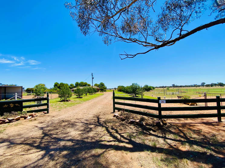 Click to view all images 36 Lesterfield Lane Coolamon NSW 2701 - Image 1