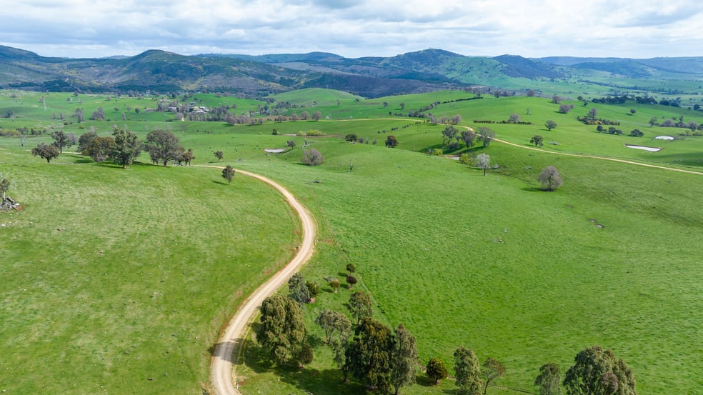 Click to view all images Homestead 242 Back Nacki Creek Road Sharps Creek NSW 2729 - Image 1