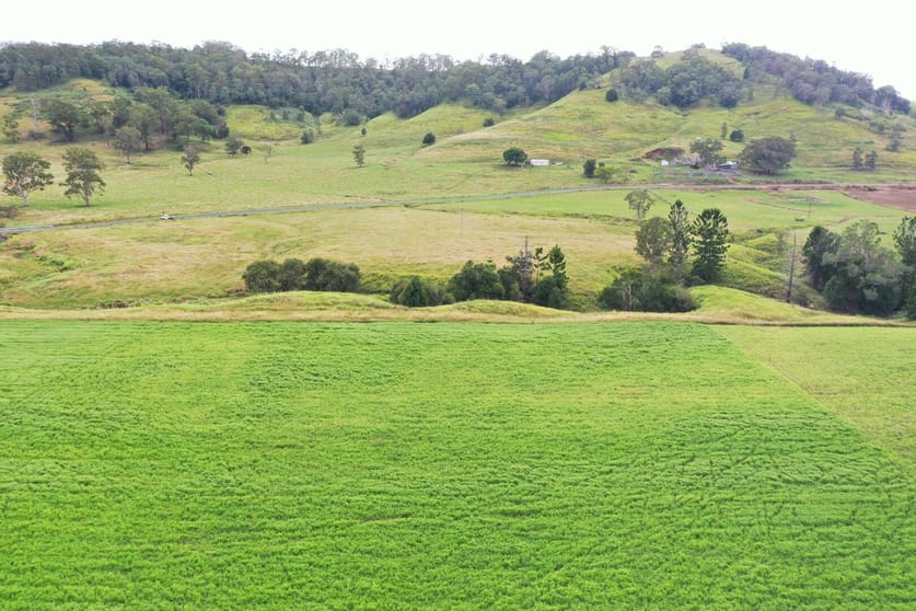 Click to view all images 590 Rock Valley Rd Lismore NSW 2480 - Image 2
