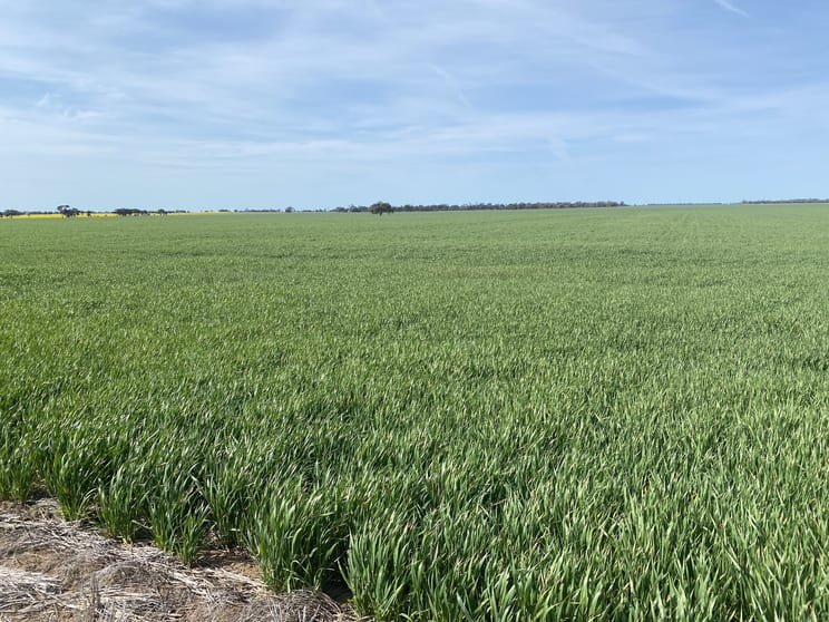 Click to view all images Minyip VIC 3392 - Image 3