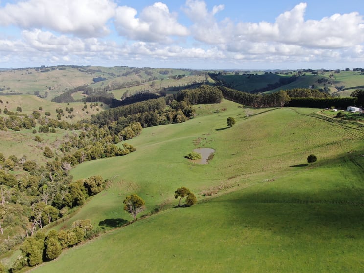 Click to view all images 191 Allmans Road Trida VIC 3953 - Image 3