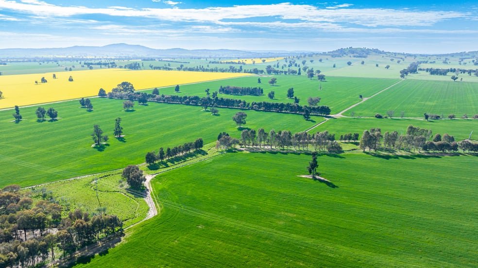 Click to view all images Olympic Highway Yerong Creek NSW 2642 - Image 1