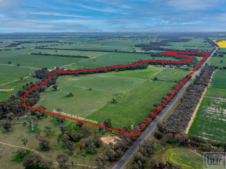 Click to view all images 511 Walbundrie Road Culcairn NSW 2660 - Image 3