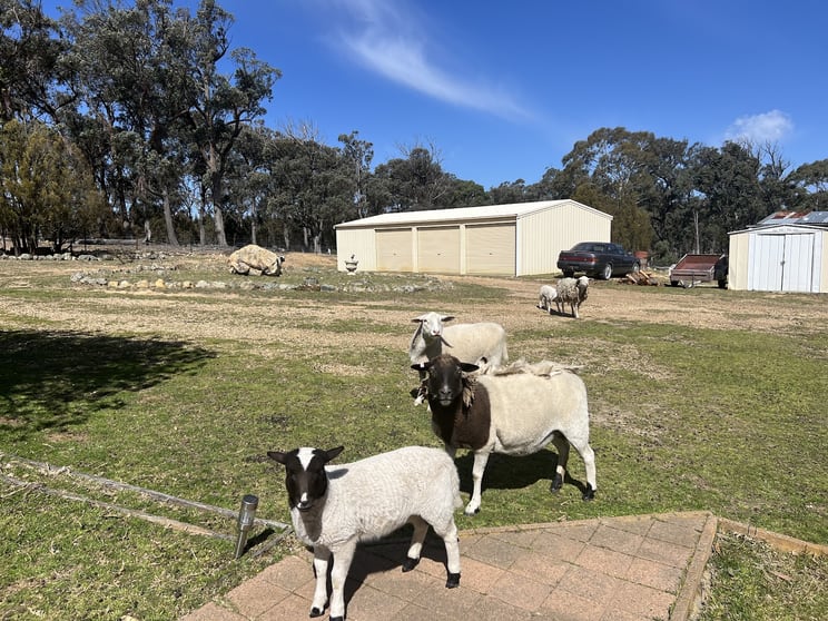 Click to view all images 285 Gumnut Crescent Bungonia NSW 2580 - Image 2