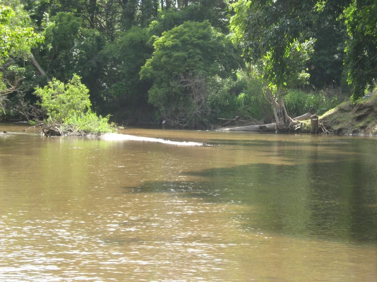 Click to view all images 158 Hodzic Rd Biboohra QLD 4880 - Image 1