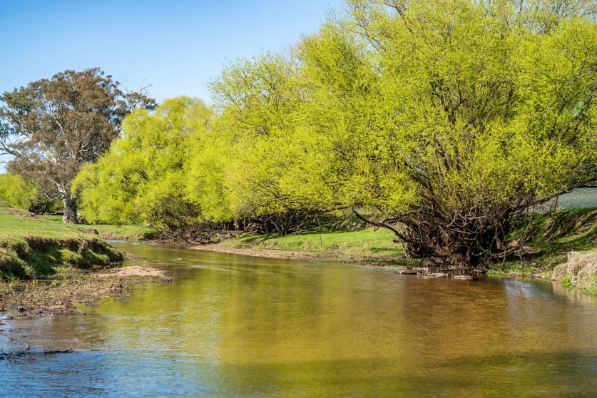 Click to view all images 863 Tallangatta Creek Road Tallangatta Valley VIC 3701 - Image 3