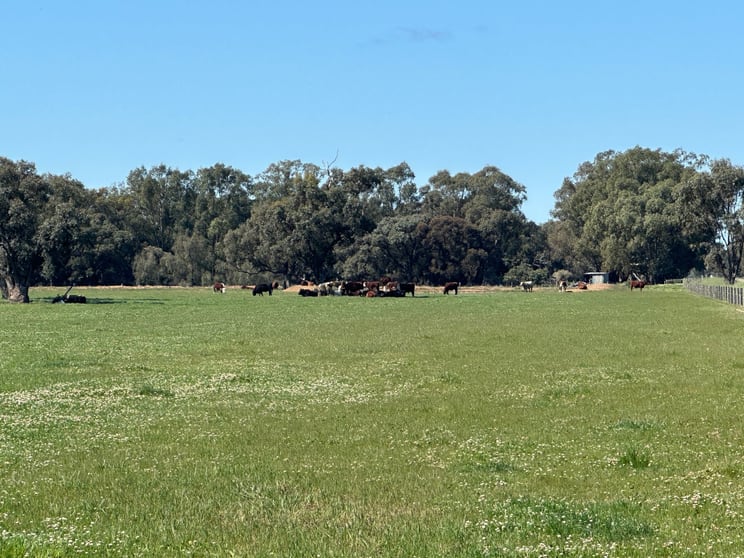 00 Cullen Park Road Cohuna VIC 3568 - Image 1