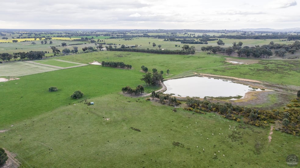 Click to view all images 565 Gellibrand Tonks Rd Earlston VIC 3669 - Image 3