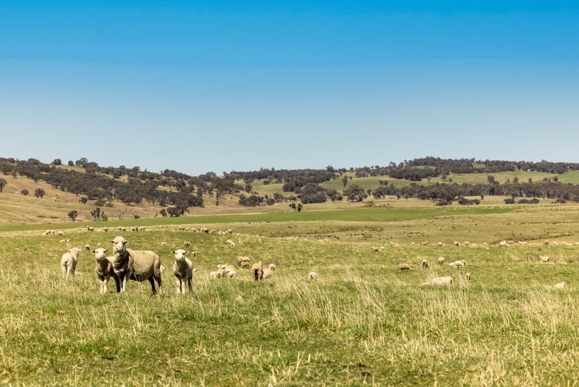 Click to view all images 1922 Peelwood Road Crookwell NSW 2583 - Image 2
