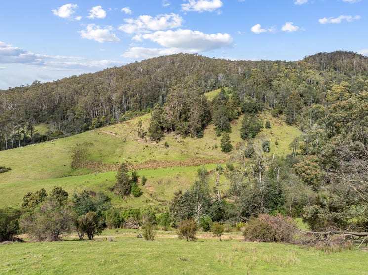 Click to view all images Lot 1 Forest Lodge Road Pyengana TAS 7216 - Image 3