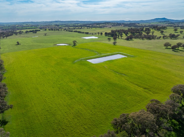 220 Lyons Road Lyndhurst NSW 2797 - Image 1