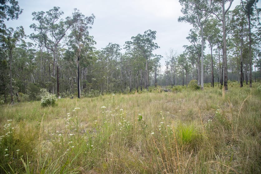 Click to view all images 920 Cedar Party Road Cedar Party NSW 2429 - Image 3