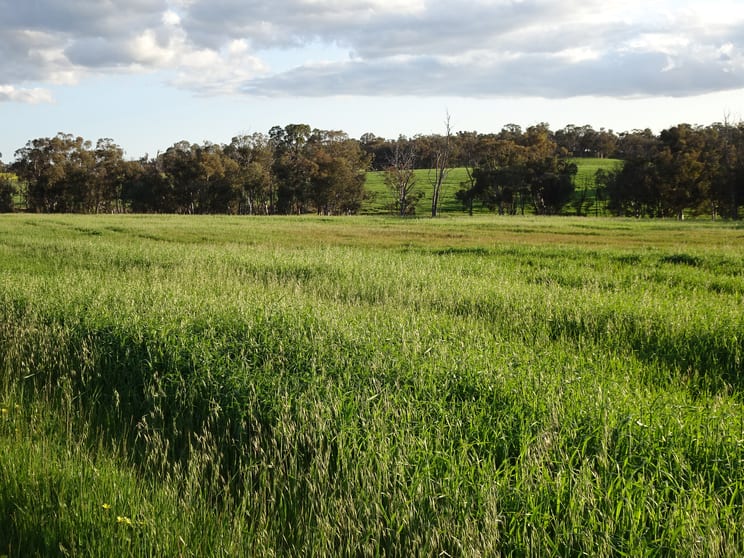 Click to view all images Lot 10661 North Wandering Road Hastings WA 6308 - Image 3