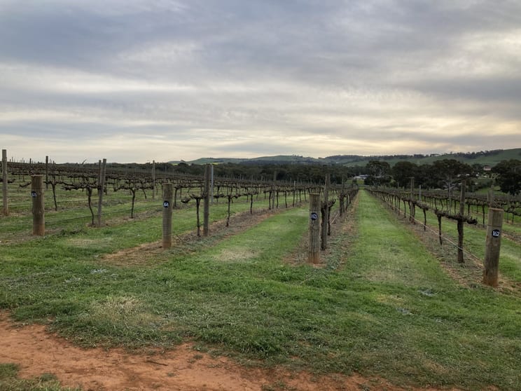 Click to view all images Lot 302 Burra Street Mintaro SA 5415 - Image 3