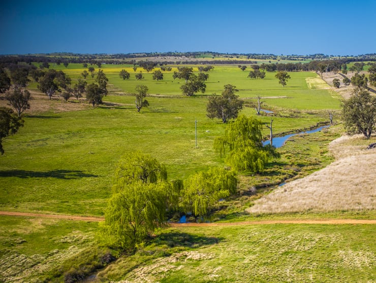 Click to view all images 637 Mia Mia Road Purlewaugh NSW 2357 - Image 3