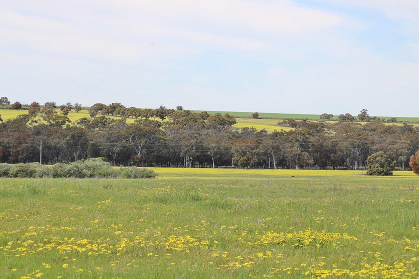 Click to view all images Lot 14 Kulin/Dudinin Road Dudinin WA 6363 - Image 2