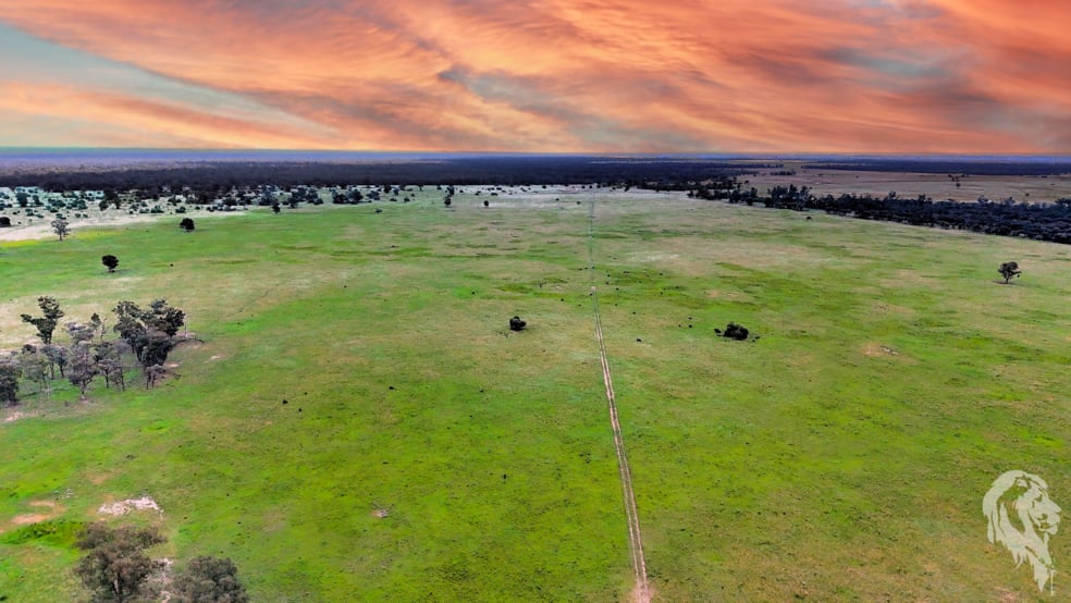 Click to view all images 1857 Stumpy Lane Wee Waa NSW 2388 - Image 1