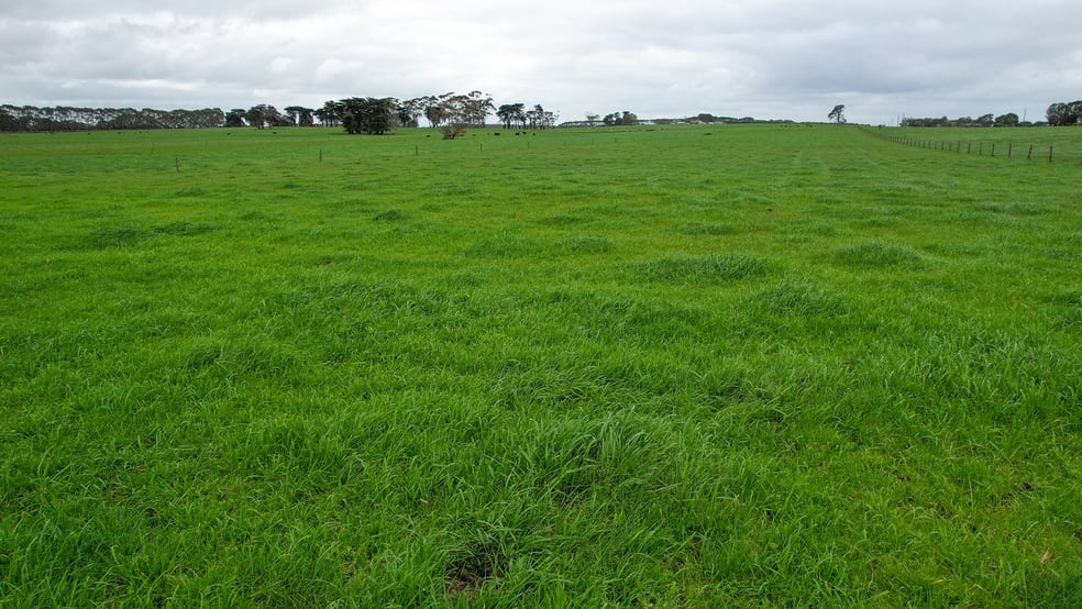 Hughs Road Wangoom VIC 3279 - Image 2