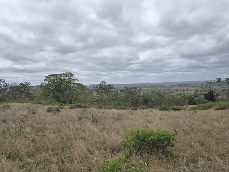 Lot 400 Schick Road Thornville QLD 4352 - Image 2