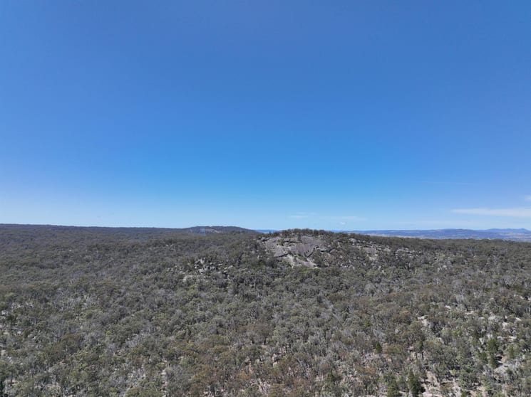 Click to view all images Lot 1 Brusharbers Road Tenterfield NSW 2372 - Image 2