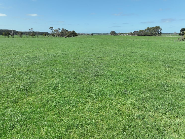 Click to view all images 260 Swan Marsh-Stonyford Road Pirron Yallock VIC 3249 - Image 2