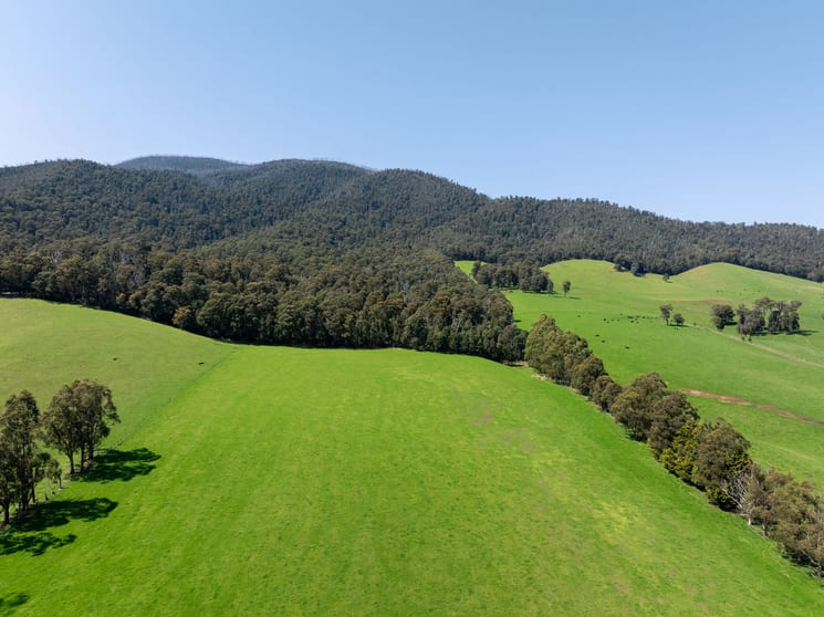 Click to view all images 769 Buxton Marysville Road Marysville VIC 3779 - Image 3