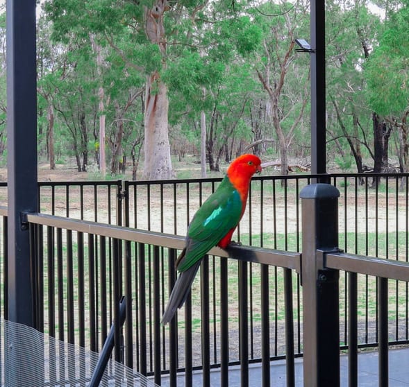 Click to view all images Millmerran QLD 4357 - Image 2