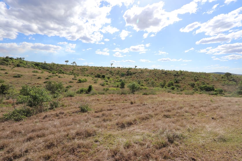 Click to view all images 0 Dalma - Ridgelands Rd Ridgelands QLD 4702 - Image 3
