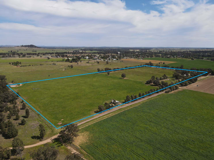 54 Hillview Lane Eugowra NSW 2806 - Image 1