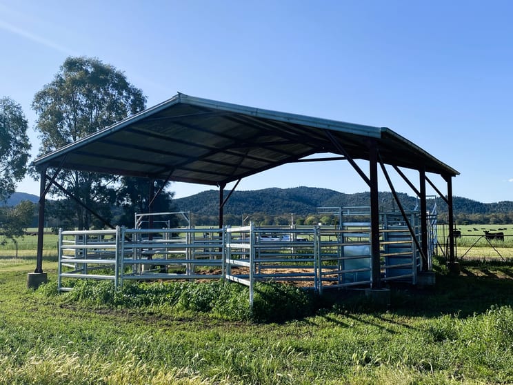 54 Hillview Lane Eugowra NSW 2806 - Image 3
