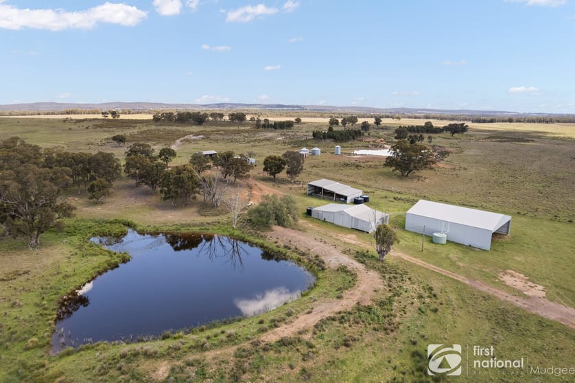 Click to view all images 569 Wongoni Road Dunedoo NSW 2844 - Image 2