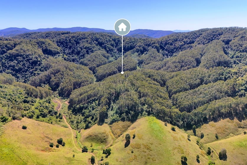 Click to view all images 138 & Borhams Road Belbora NSW 2422 - Image 3