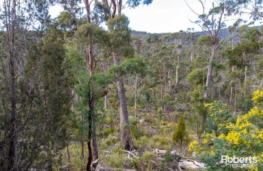 Click to view all images 608 Lilydale Road Underwood TAS 7268 - Image 2