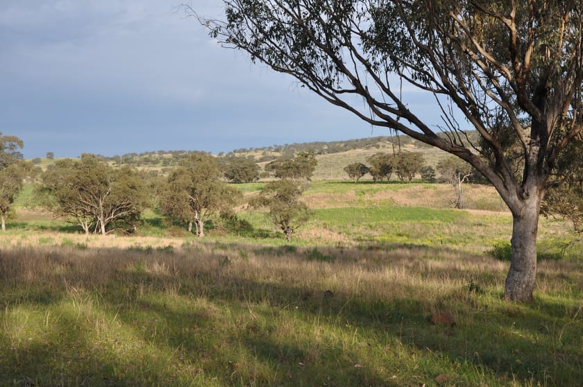 Click to view all images 51 Queen St Bunnan NSW 2337 - Image 3