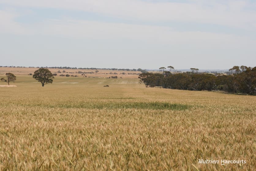 Click to view all images . Cnr Nembudding South Road & Hammond Road Korrelocking WA 6485 - Image 1