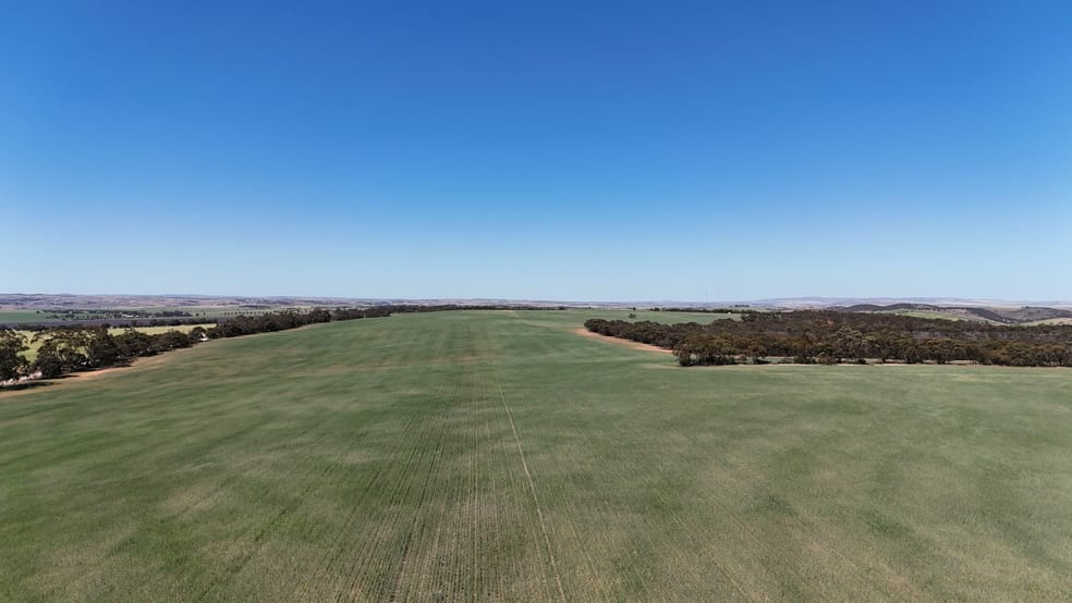 Click to view all images 'Beetaloo' Bundock Parade Beetaloo Valley SA 5523 - Image 2