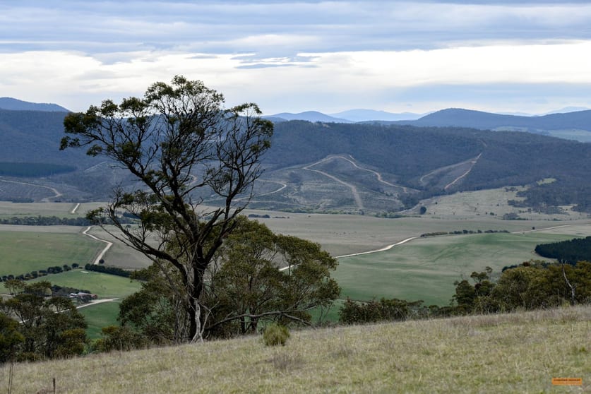 Click to view all images "Lark Ridge" Corrowong Road Corrowong NSW 2633 - Image 3