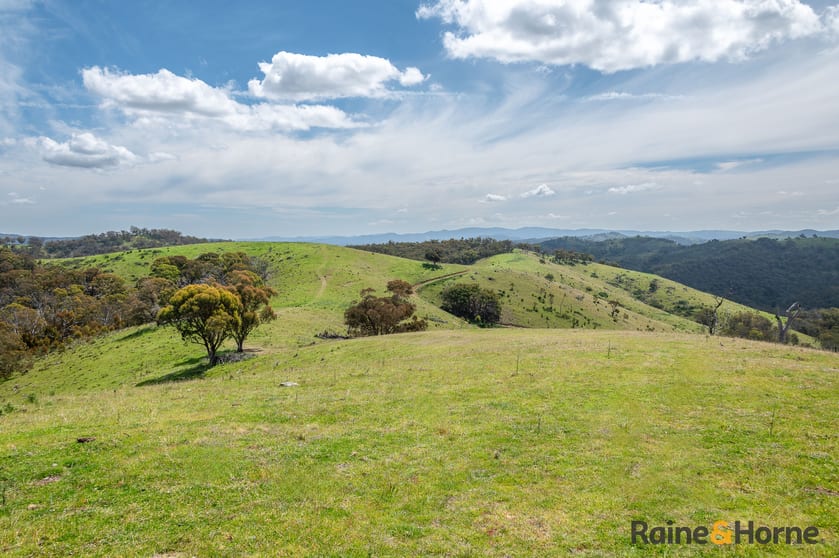 Click to view all images Lot 4/2553 Campfire Road Walcha NSW 2354 - Image 1