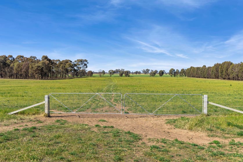 Click to view all images Lot 1 Goornong - Mayreef Road Goornong VIC 3557 - Image 2